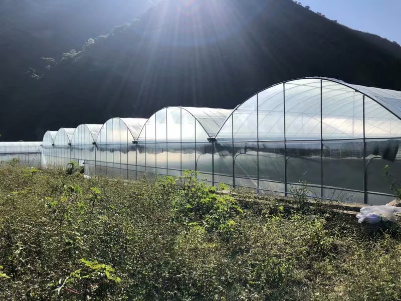土壤鹽分檢測儀，可輔助溫室大棚種植